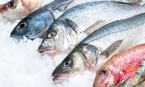 Gili Meno Meals on Meno