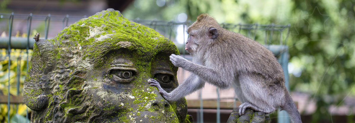 Parks and Gardens in Bali
