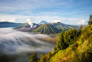 Your Travel Guide  From Bali to Java